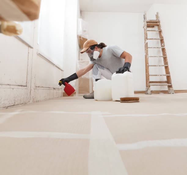 Best Post-Construction Mold Inspection  in Johnstown, NY